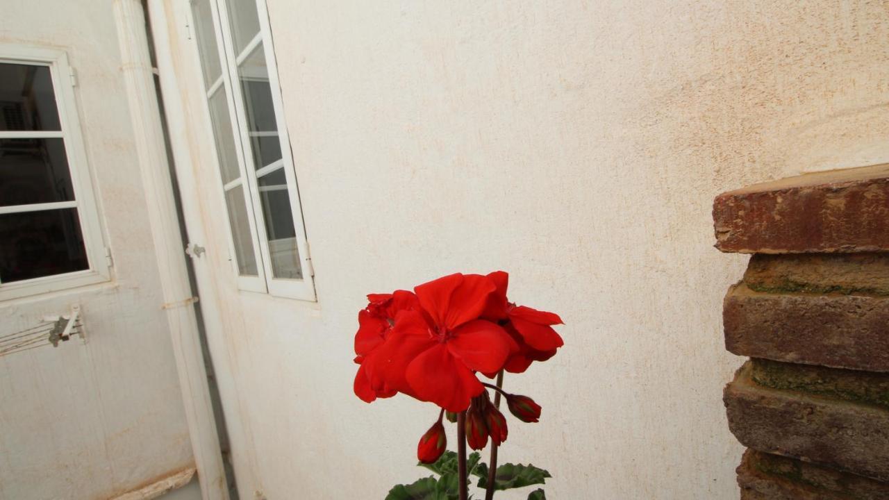Del Parque Flats Alamos Terraza Apartment Malaga Exterior photo